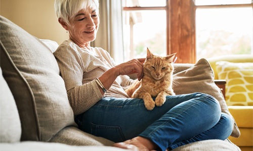The Luxe at Lewisville Amenities Woman sitting on a couch and petting a cat